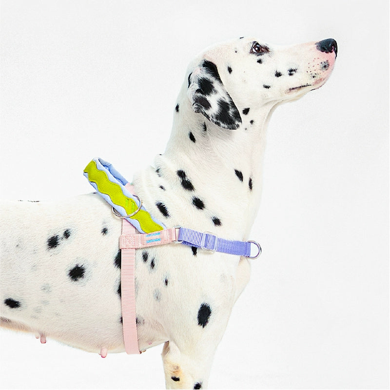 Vest type anti-breakaway dog leash