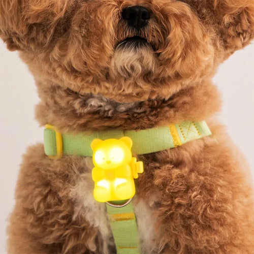 Jellybear LED Rechargable Blinker (3 colors)